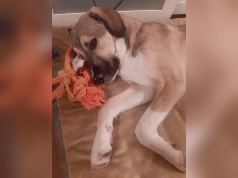 Lucas - er wurde im Niemandsland ohne Mama ausgesetzt.