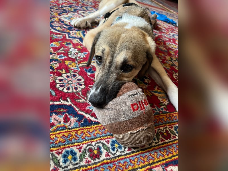 Lucas - er wurde im Niemandsland ohne Mama ausgesetzt.