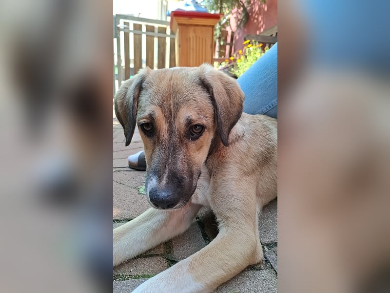 Lucas - er wurde im Niemandsland ohne Mama ausgesetzt.