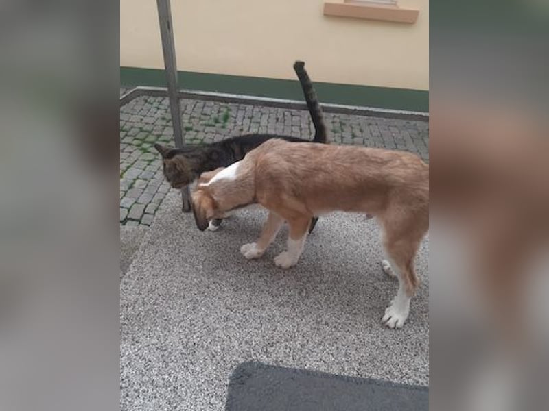 Lucas - er wurde im Niemandsland ohne Mama ausgesetzt.