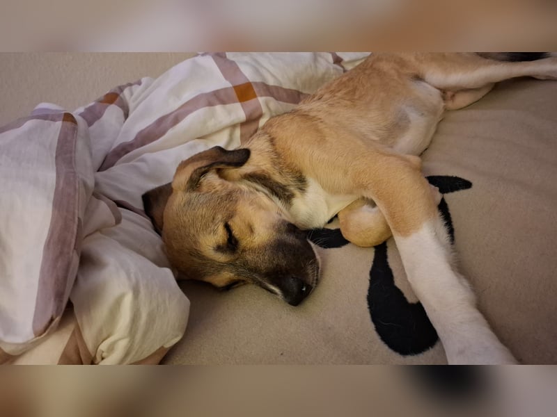 Lucas - er wurde im Niemandsland ohne Mama ausgesetzt.