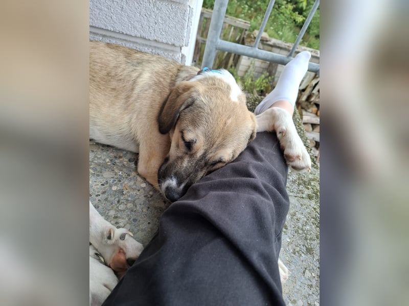 Lucas - er wurde im Niemandsland ohne Mama ausgesetzt.