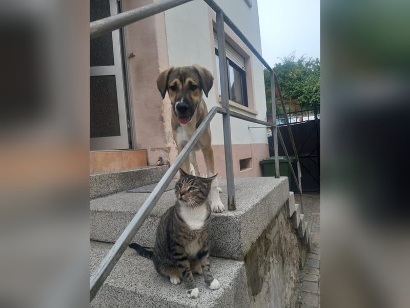 Lucas - er wurde im Niemandsland ohne Mama ausgesetzt.