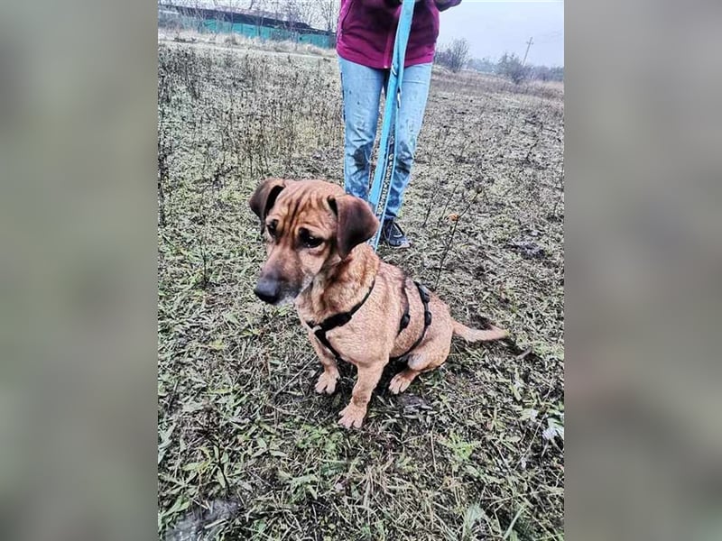 Marci, ein Leben voller Liebe und Abenteuer gesucht
