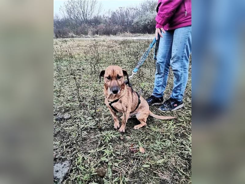 Marci, ein Leben voller Liebe und Abenteuer gesucht