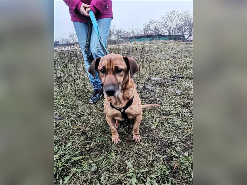 Marci, ein Leben voller Liebe und Abenteuer gesucht