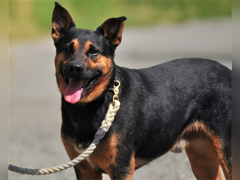 Nelson ist gleich mt jedem befreundet