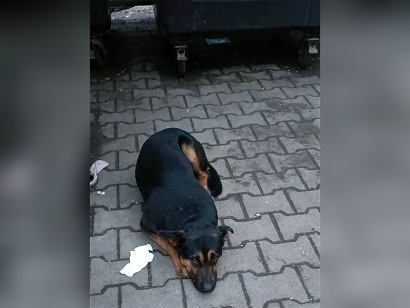 Nelson ist gleich mt jedem befreundet