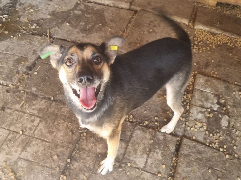 ♥ELIANO♥ Unser Lieblingsfoto, auf dem er uns über beide Ohren anlacht 49 cm
