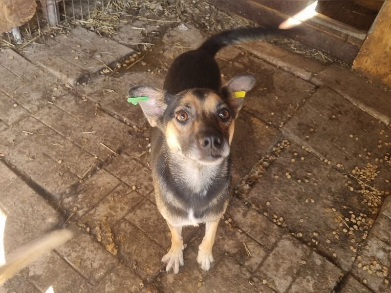 ♥ELIANO♥ Unser Lieblingsfoto, auf dem er uns über beide Ohren anlacht 49 cm