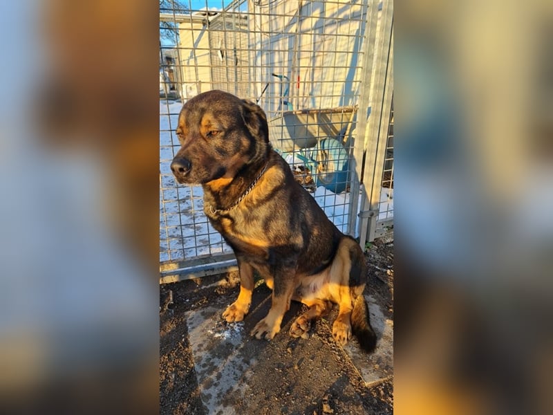 Unser toller Derrick