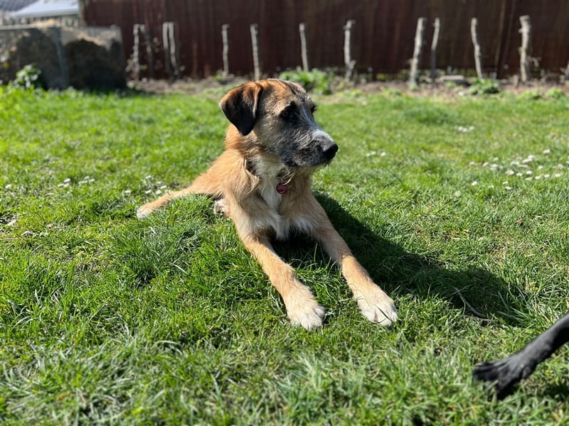 Unser verschmuster Luca