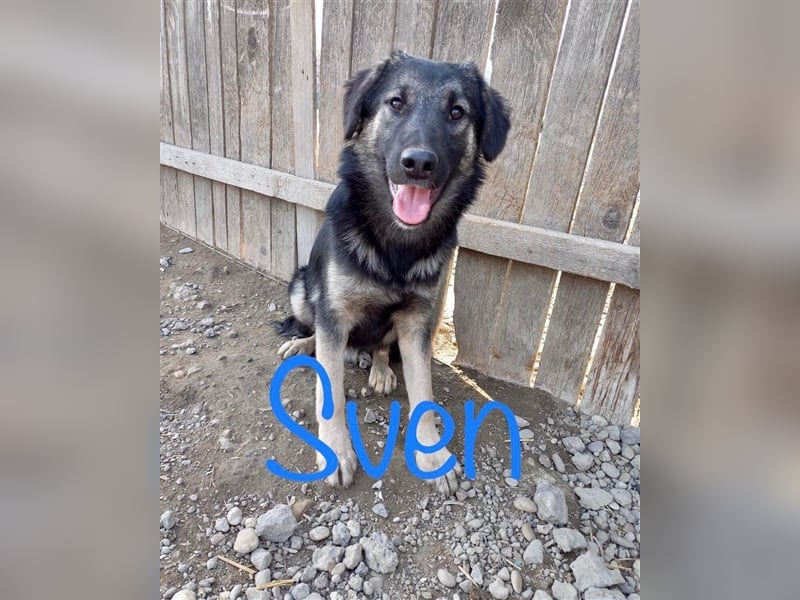 Unser hübscher Sven