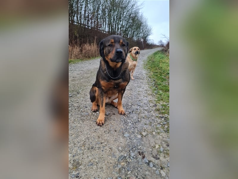 Unser toller Derrick