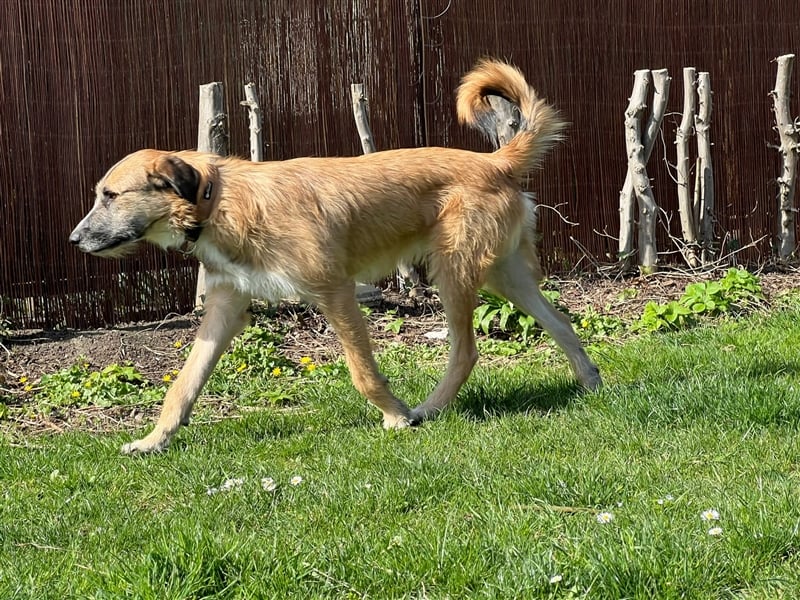 Unser verschmuster Luca
