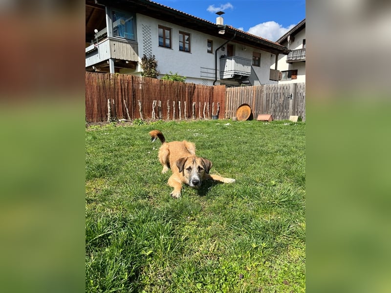 Unser verschmuster Luca