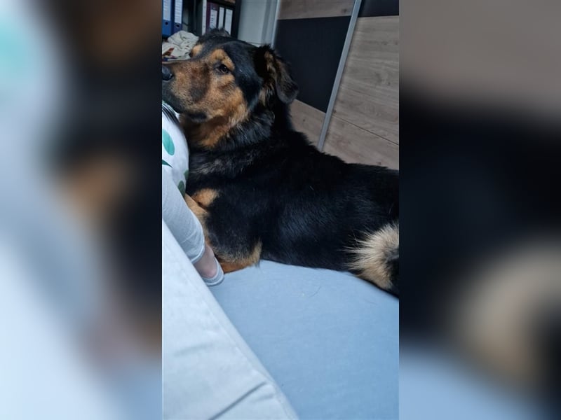 Unser schöner Alfi