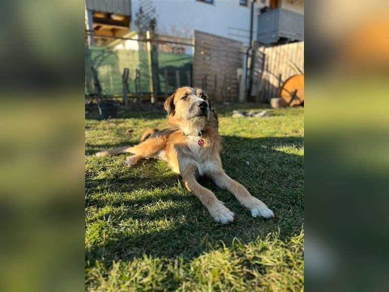 Unser verschmuster Luca