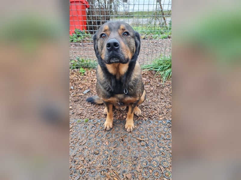Unser toller Derrick