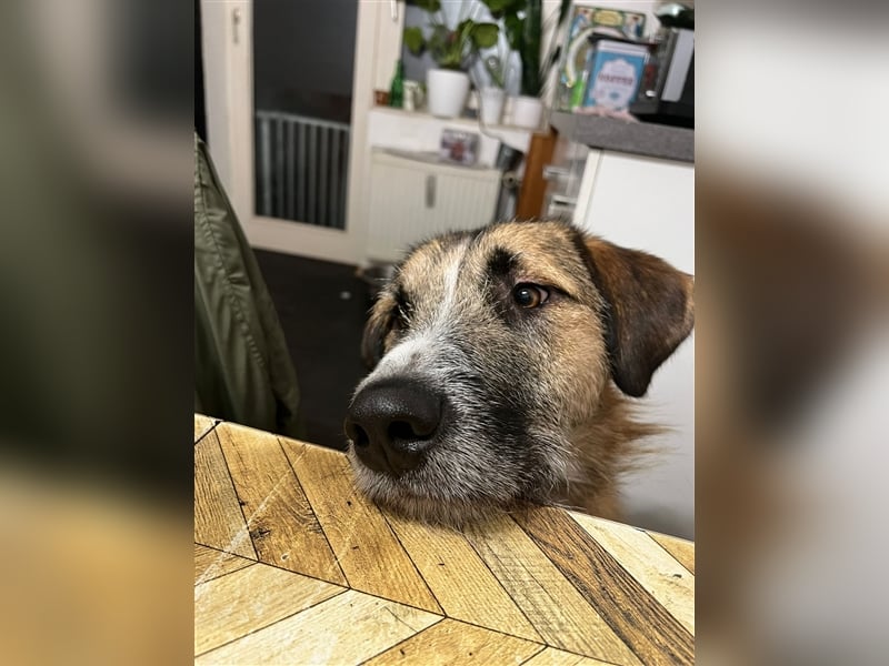 Unser verschmuster Luca