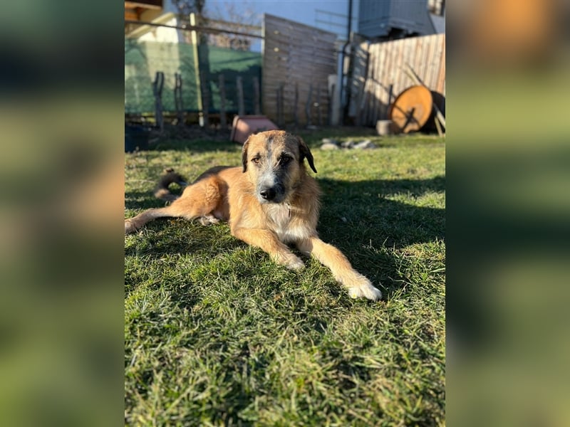 Unser verschmuster Luca