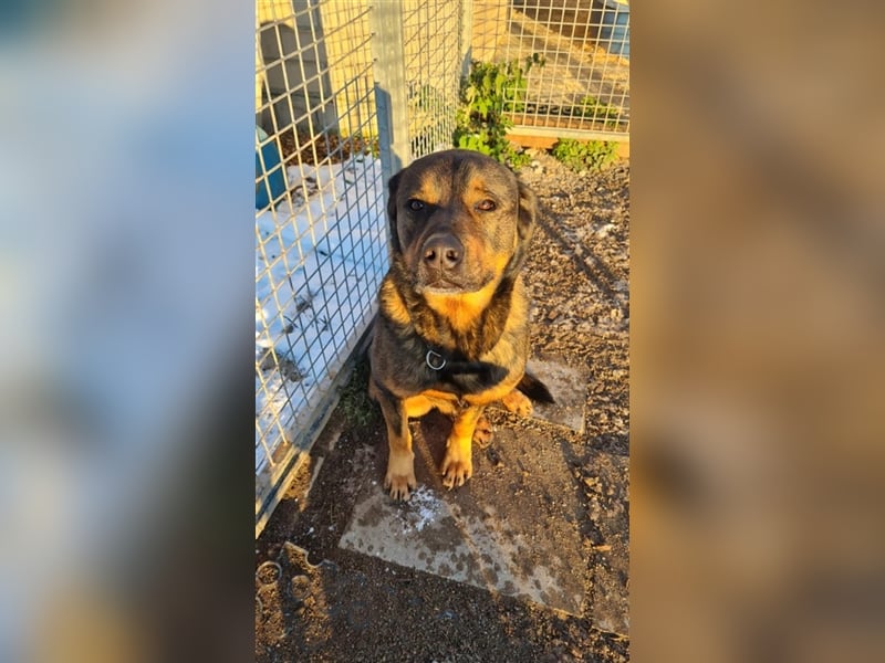 Unser toller Derrick