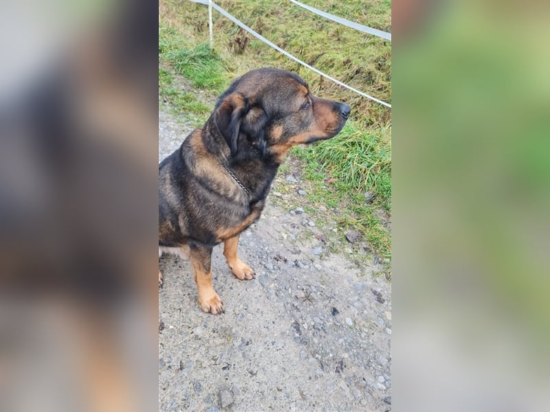 Unser toller Derrick