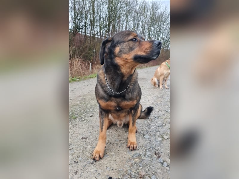 Unser toller Derrick