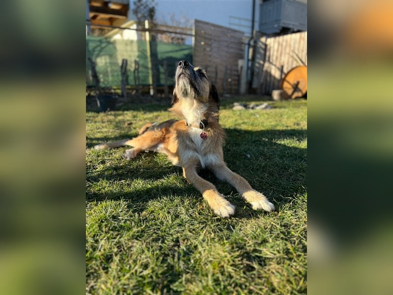 Unser verschmuster Luca