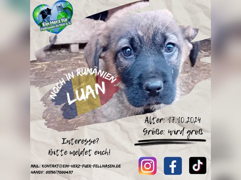 Unser schöner LUAN
