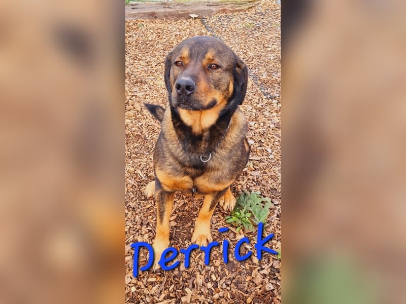 Unser toller Derrick