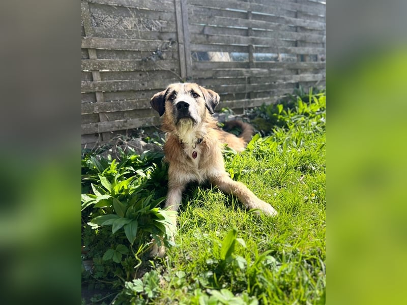 Unser verschmuster Luca