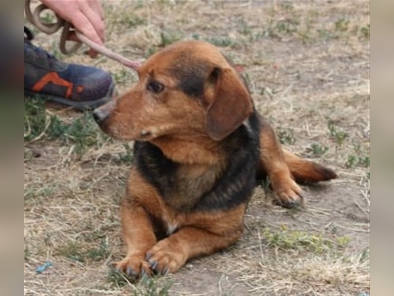Pablo hat bisher wenig kennen gelernt