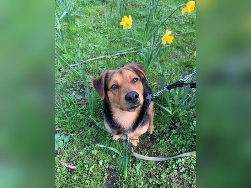 Sonnenschein Aiko wünscht sich seine Menschen