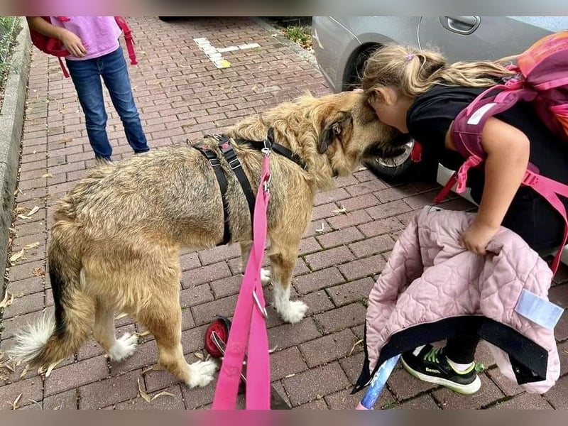 Remy, menschenbezogen, freundlich und aufgeschlossen - bereits in Deutschland -