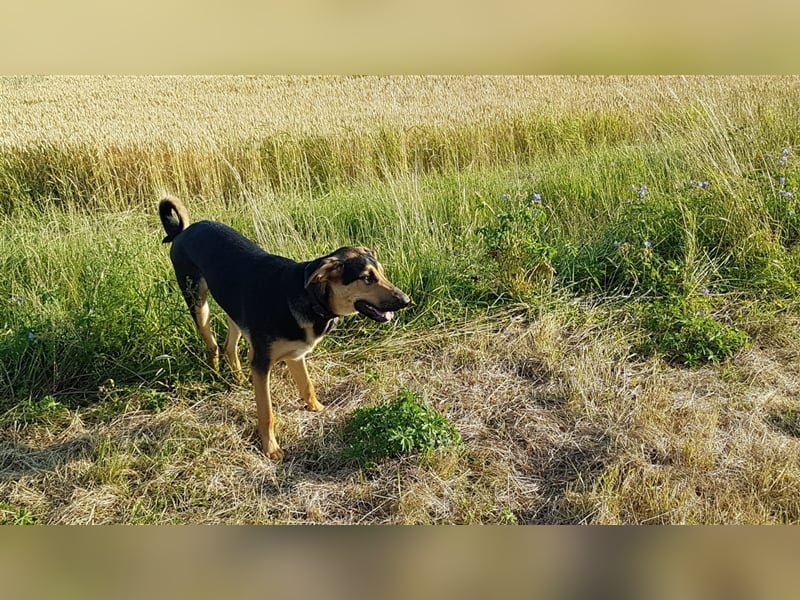 Duke