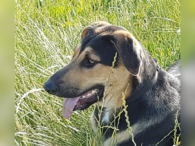 Duke