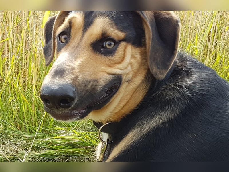 Duke