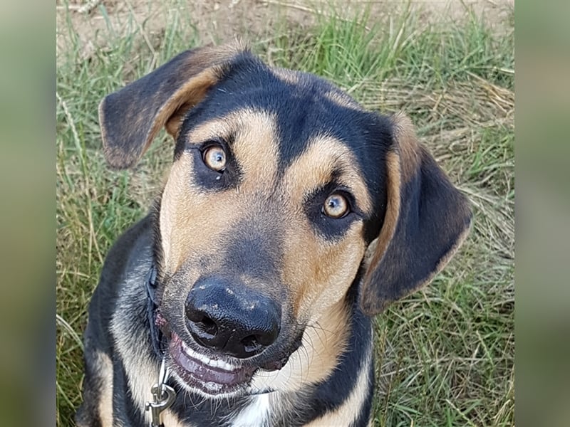 Duke