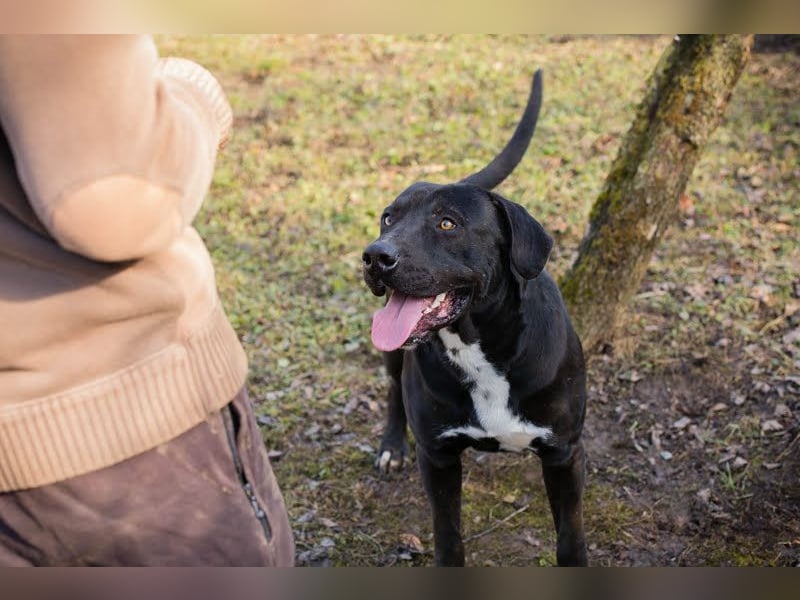Piper: verdient eine zweite Chance