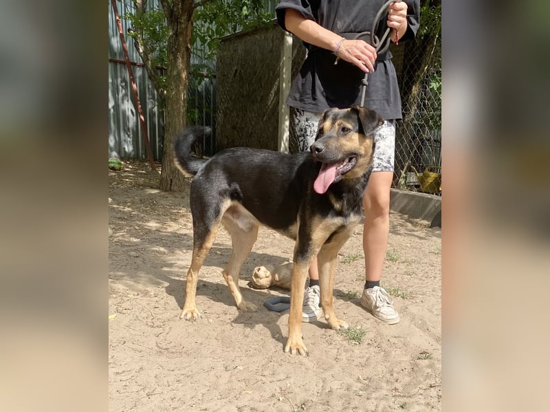 Mito - Wer schenkt ihm die Chance seines Lebens?