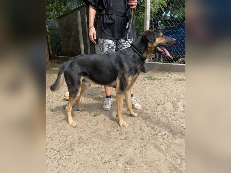 Mito - Wer schenkt ihm die Chance seines Lebens?