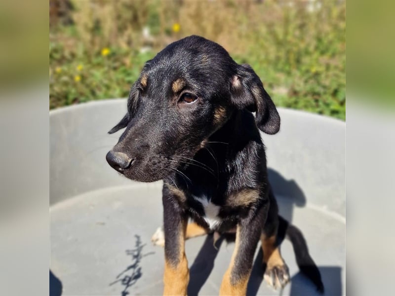 YONI ❤ wartet in 42477 Radevormwald auf DICH