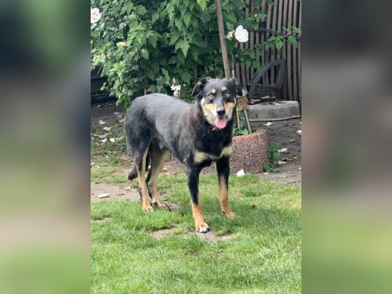 „Mogli“, ca. 05.2021 geboren, noch sehr zurückhaltend und ängstlich