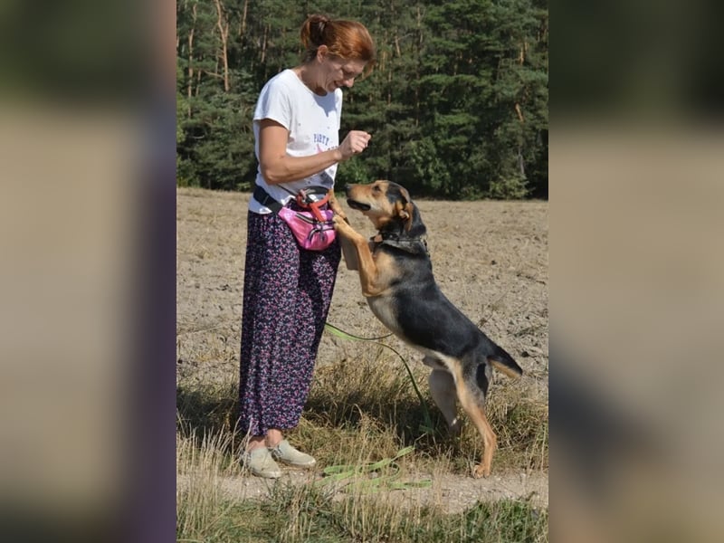 „Barney“, ca. 2022 geboren, toller Hundekumpel! Lebensfroh, liebt Spaziergänge, gut verträglich