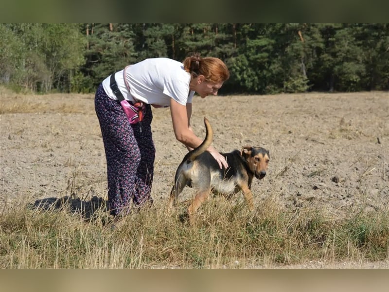 „Barney“, ca. 2022 geboren, toller Hundekumpel! Lebensfroh, liebt Spaziergänge, gut verträglich