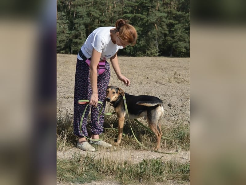 „Barney“, ca. 2022 geboren, toller Hundekumpel! Lebensfroh, liebt Spaziergänge, gut verträglich