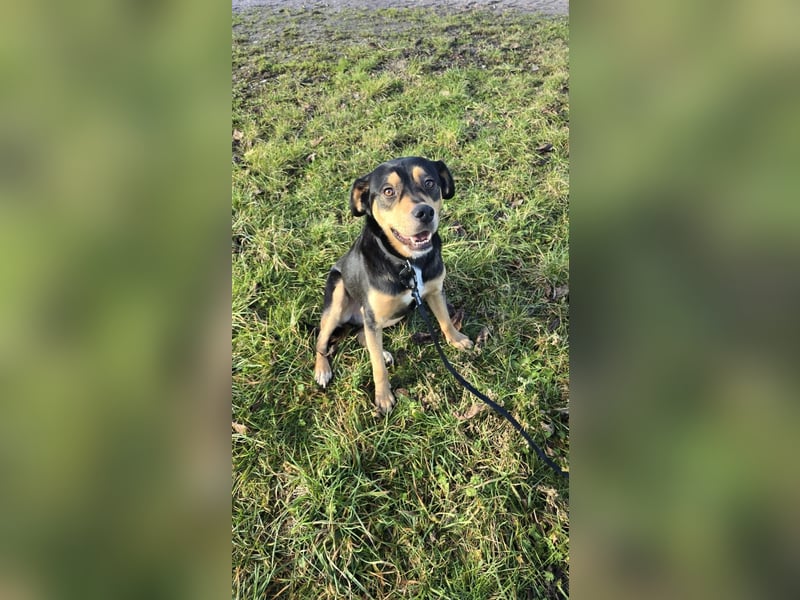 Zako sucht sein Für-Immer-Zuhause ❤️