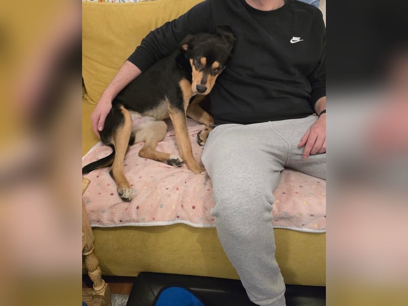 Zako sucht sein Für-Immer-Zuhause ❤️