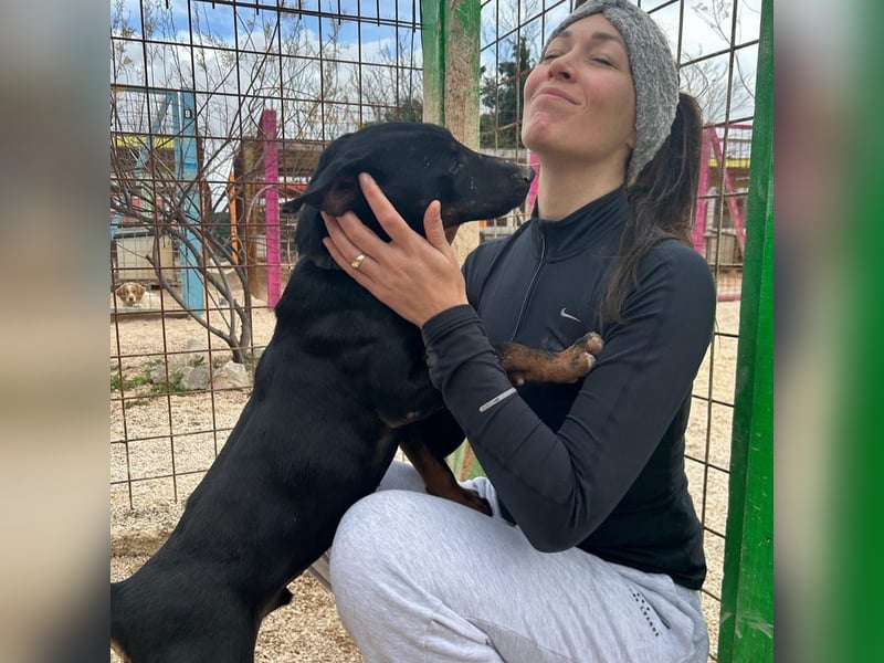 Sully sucht seine große Liebe ❤️